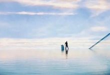 生命是什么?-醒知行悟