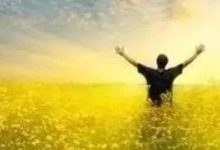 拒绝没有灵魂的投喂，找回搜索的灵魂——关键字-醒知行悟