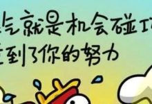 天降鸟粪——积极心理、相关性因果性-醒知行悟