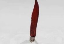 你可是那刀口舔血的饿狼,在快感中走向死亡?-醒知行悟