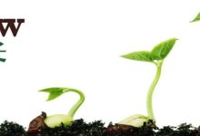 什么才是真正的成长?-醒知行悟