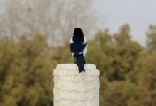 厉害的人都曾经穿越过这个-醒知行悟