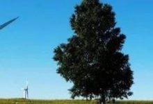 痛苦、快乐和超脱的底层都是它-醒知行悟