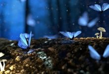 一念之间,一字之差,天壤之别。-醒知行悟