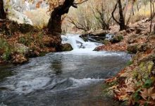 明明是引流，非要去造流。-醒知行悟