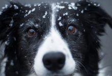 跟着感觉走向……-醒知行悟